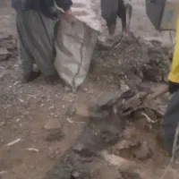 کود مرغی گوشتی