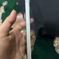 آیفون 13|موبایل|عسلویه, |دیوار