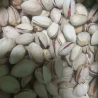 سلام ۵کیلوپسته درجه۱موجوده