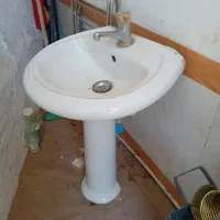 دستور چینی  باشیر