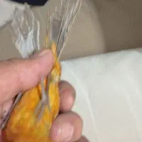 قناری ماده دارچینی سوخته|پرنده|مشهد, ادیب نیشابوری (شهرک غرب)|دیوار