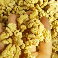 فروش گردو و مغز گردو روغنی کردستان کلی و جزئی|خوردنی و آشامیدنی|اورامان, |دیوار