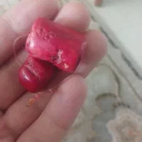 جفت مهره مرجان قرمز کهنه