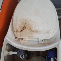 سنگ توالت فرنگی