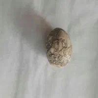 سنگ مهره تیربند جنس مخالف اصل اصل