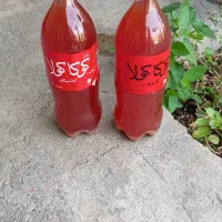 آبغوره ترش و خوشمزه تمیز ارگانیک موجوده