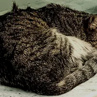 بلوبانک بانکی دست نیافتنی