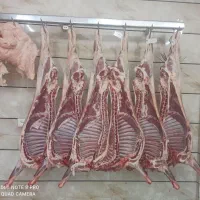 گوشت تنظیم بازار|عمده‌فروشی|سبزوار, جهاد کشاورزی|دیوار