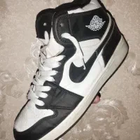 جردن 1 پاندا