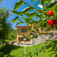 اجاره ویلا در دهکده تفریحی زایندهرود چادگان|اجارهٔ کوتاهمدت ویلا و باغ|اصفهان, شاهزاده ابراهیم|دیوار