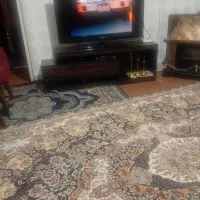 میزو تلوزین