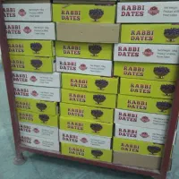 خرمای ربی بلوچستان|خوردنی و آشامیدنی|ایرانشهر, |دیوار