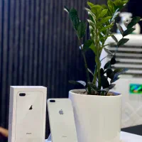 iPhone 8 Plus 64G از دم قسط و نقدی|موبایل|کرج, مهرویلا جنوبی|دیوار
