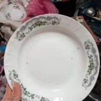 ظرف پذیرایی|ظروف سرو و پذیرایی|رشت, دیانتی|دیوار