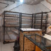دکور مغازه|فروشگاه و مغازه|تهران, نظام‌آباد|دیوار