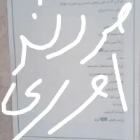 دوچرخه فروشث|دوچرخه، اسکیت، اسکوتر|زابل, |دیوار