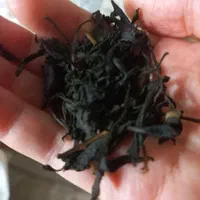 چای بهاره ارگانیک باغ خودم خرید عمده با تخفیف ویژه|خوردنی و آشامیدنی|لاهیجان, لاشیدان|دیوار