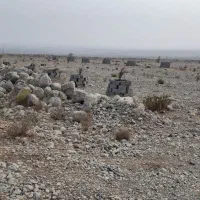 فروش زمین  شهر تخت محله اسلام آباد جاده جغان|فروش دفتر صنعتی، کشاورزی، تجاری|تخت, |دیوار