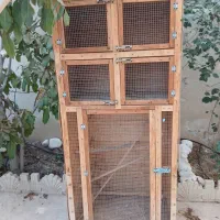 گنجه