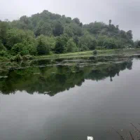 سویت۶۰متریطبقههمکفدربکوچکماسال