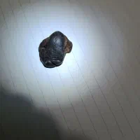 عشیاع قدیمی|کلکسیون اشیاء عتیقه|نیریز, |دیوار