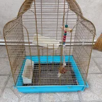 قفس