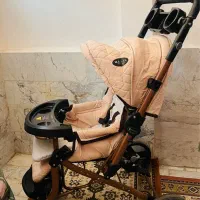 کالسکه بدون هیچ خط و خشی