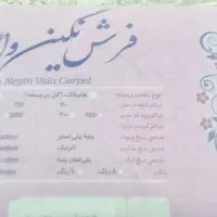 قالی ۳×۴|فرش|کلاله, |دیوار