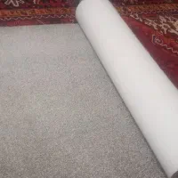 پلازموکت‌طوسی‌۱در۳نونو