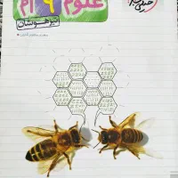 کتاب کمک درسی خیلی سبز و گاج علوم نهم