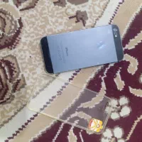 شادگان