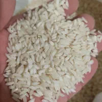 برنج عنبر بو درجه یک به شرط پخت