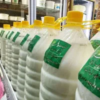 لبنیات گاوی و گوسفندی تازه مستقیم ازدامداری