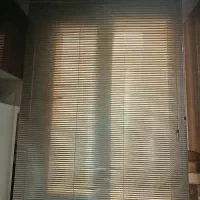 پره زبرا . یک سانتی