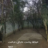 فروش ویلا|فروش خانه و ویلا|آستانه اشرفیه, |دیوار