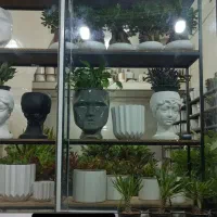 پخش انواع گلدان سرامیکی ۴تایی ۱۹۵|گل و گیاه طبیعی|یزد, |دیوار