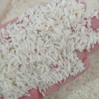 برنج هاشمی درجه یک سورتینگ شده|خوردنی و آشامیدنی|رشت, کوی جام جم|دیوار