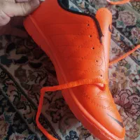 کفش ورزشی|کیف، کفش، کمربند|بندر انزلی, متروپل|دیوار