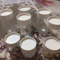 بانکه حبوبات جنس پلاستیکی