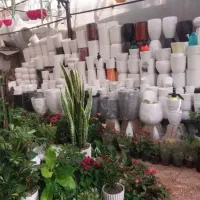 خدمات باغبانی باغچه کاری تعویضی خاک باغچه کاشت|خدمات باغبانی و درختکاری|تهران, هروی|دیوار