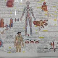 جزوه و کتاب تست و تشریحی