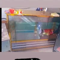 یخچال ویترینی