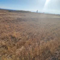 زمین کشاورزی بسیار مرغووب