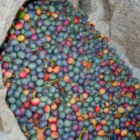 کولنگ