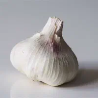 سیر درجه یک به مقدار یک تن