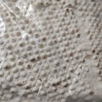 شاگرد نانوایی لواش