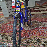 دوچرخه 24 اینتنز