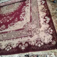 فرش|فرش|شیراز, شاه قلی بیگی|دیوار
