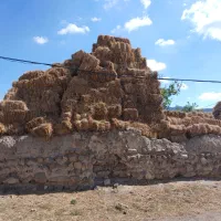 علف