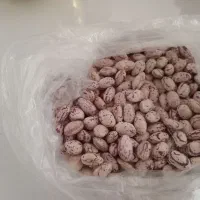 فروش لوبیا چیتی و دولتی